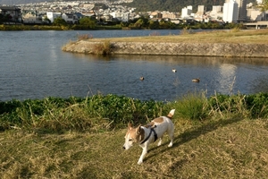 DSC_7450c.jpg