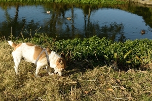 DSC_7473c.jpg