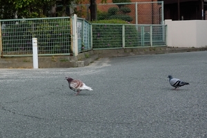 DSC_7488c.jpg