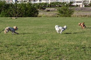 DSC_7489c.jpg