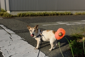 DSC_7495c.jpg