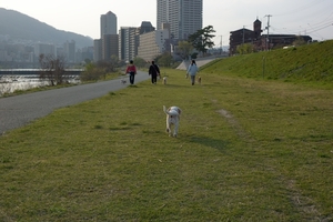 DSC_7553c.jpg