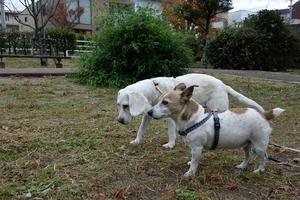 DSC_7577c.jpg