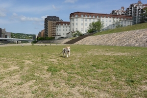 DSC_7607c.jpg
