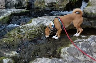 DSC_7753c.jpg