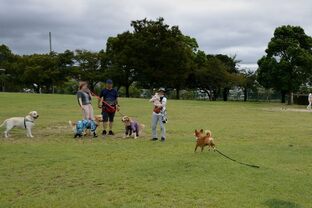 DSC_7872c.jpg