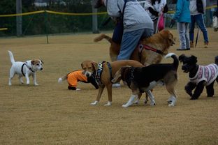 DSC_7972c.jpg