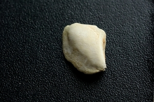 DSC_7978c.jpg