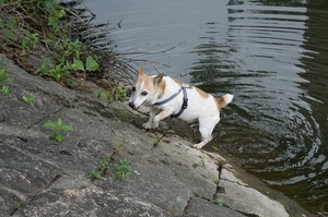 DSC_7983c.jpg