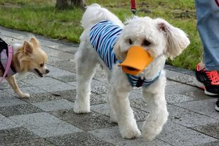 DSC_7999c.jpg