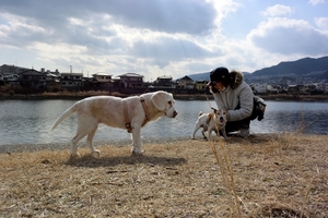DSC_8103c.jpg