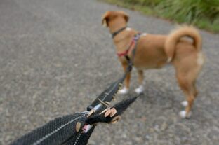 DSC_8143c.jpg
