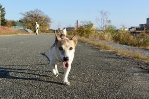 DSC_8154c.jpg