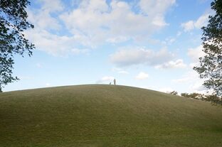 DSC_8168c.jpg