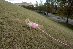 DSC_8172c.jpg
