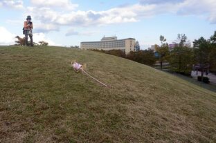 DSC_8179c.jpg