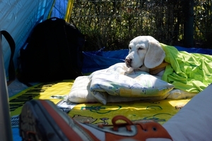 DSC_8197c.jpg