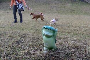 DSC_8198c.jpg