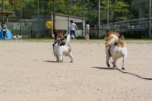 DSC_8216c.jpg