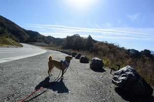 DSC_8240c.jpg