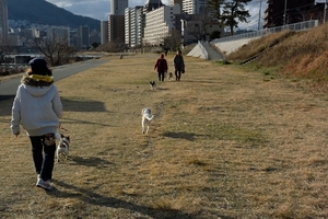 DSC_8304c.jpg