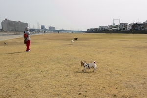 DSC_8311c.jpg