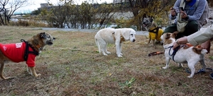 DSC_8318c.jpg