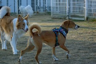DSC_8328c.jpg
