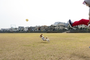 DSC_8339c.jpg