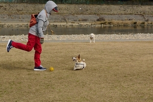 DSC_8346c.jpg
