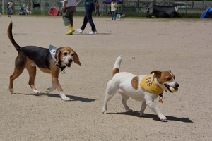 DSC_8355c.jpg