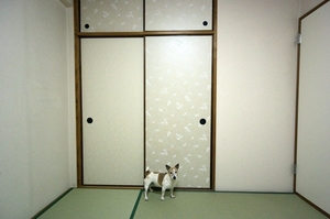 DSC_8369 - コピー.jpg