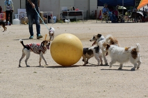 DSC_8369c.jpg
