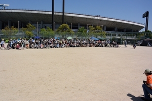 DSC_8381c.jpg