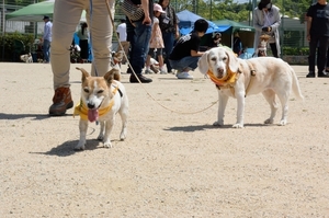 DSC_8399c.jpg