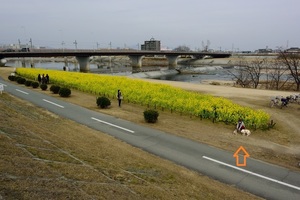 DSC_8419c.jpg
