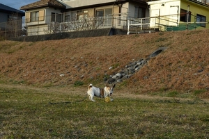 DSC_8424c.jpg