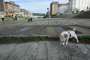 DSC_8470c.jpg