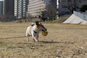 DSC_8640c.jpg