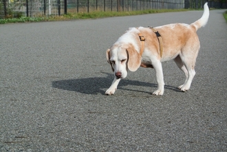 DSC_8751c.jpg