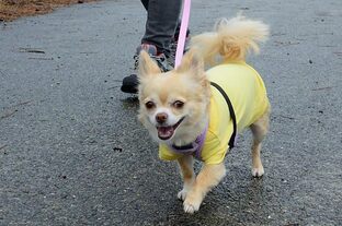 DSC_8765c.jpg