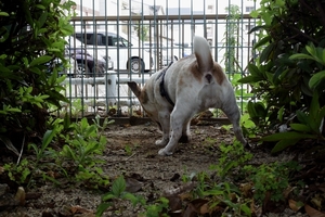 DSC_8888c.jpg