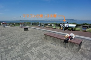 DSC_8920c.jpg