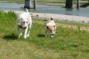 DSC_8936c.jpg