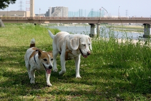 DSC_8946c.jpg