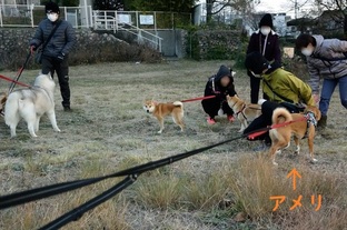 DSC_8966c.jpg