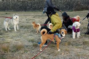 DSC_8971c.jpg