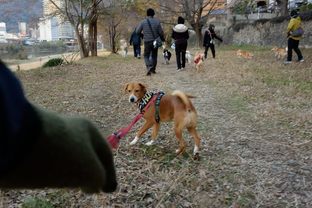 DSC_8977c.jpg