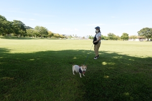 DSC_9002c.jpg