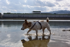 DSC_9045c.jpg